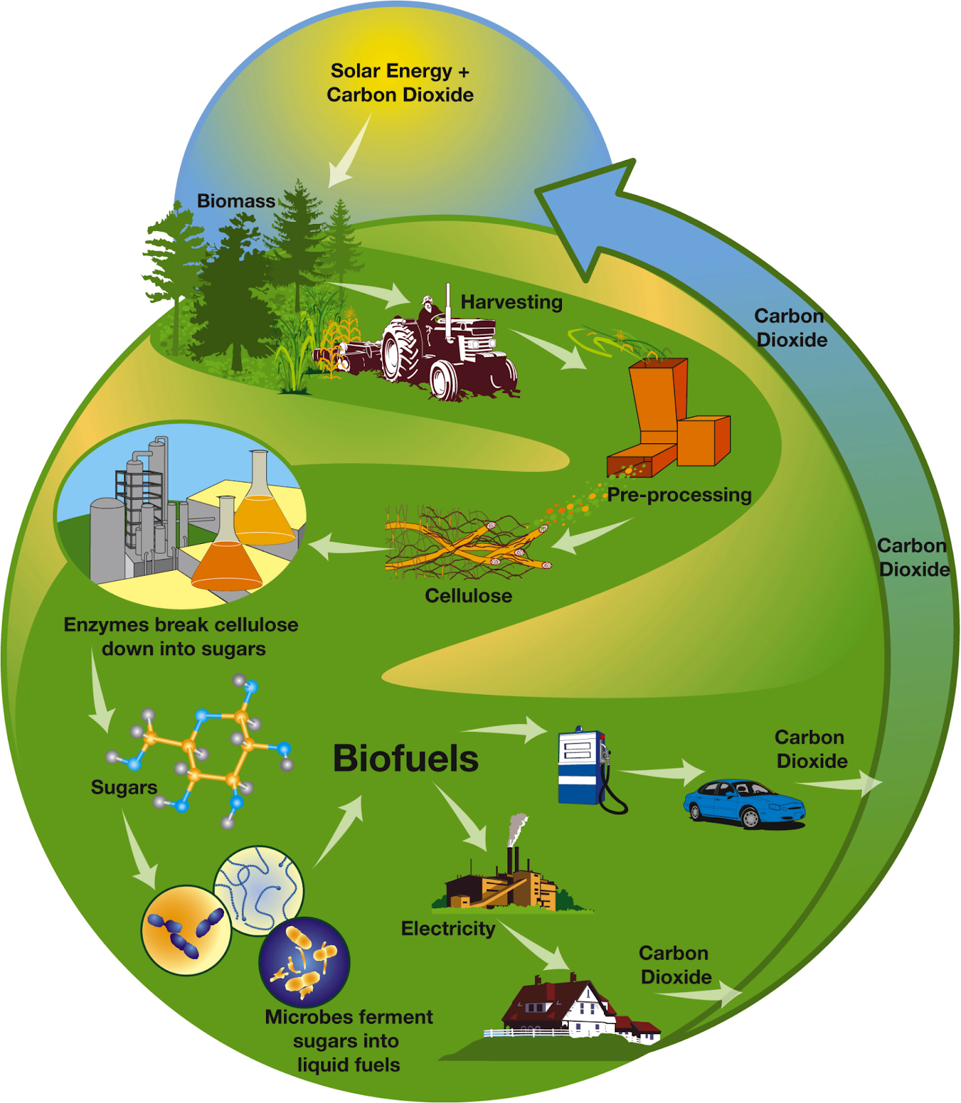   India’s Great Green Future  - Asiana Times