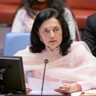 UNGA adopts resolution to honour fallen peacekeepers - Asiana Times