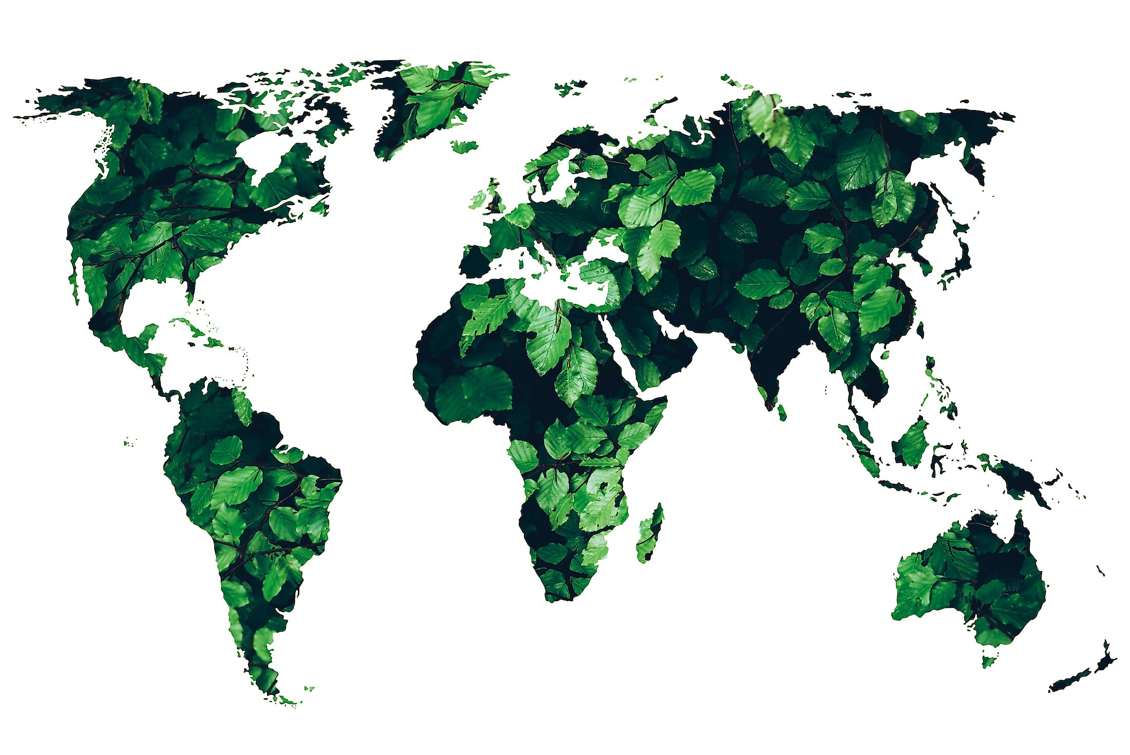 World's 5 Most Eco-Friendly Countries - Asiana Times