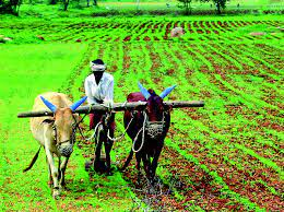 The government hikes the Minimum support price for various crops - A sigh of relief for the farmers 2022 - Asiana Times
