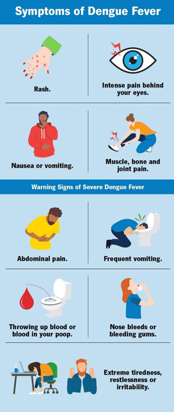 Warning Signs of dengue
