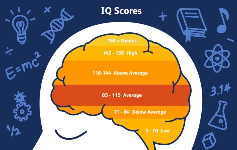 How Does Terence Tao’s IQ Compare to Other Geniuses? - Asiana Times
