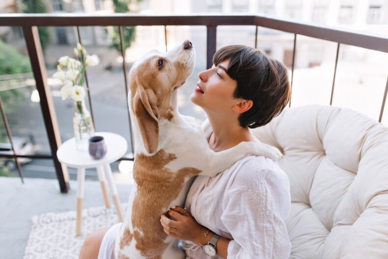 The Rise of Pet-Friendly Living in Bangkok’s Luxury Condo Market - Asiana Times